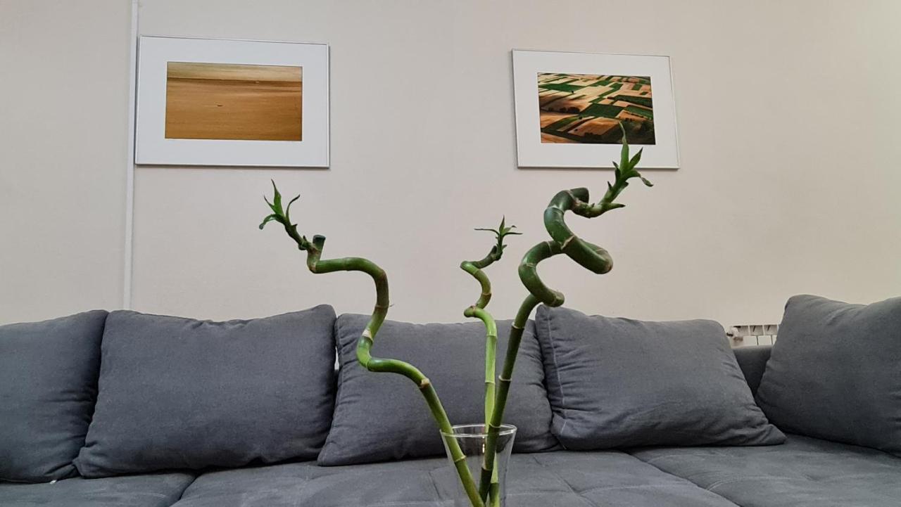 South 2 Apartment